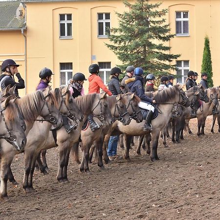 Stado Ogierow Sierakow Hotel Sierakow  ภายนอก รูปภาพ